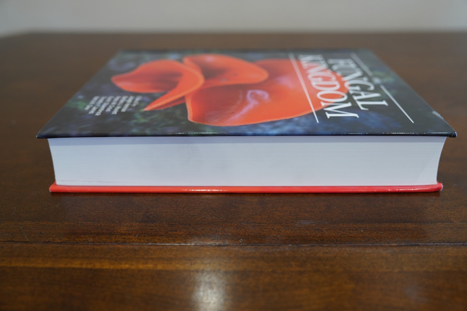 The Fungal Kingdom Hardcover *Science Book*
