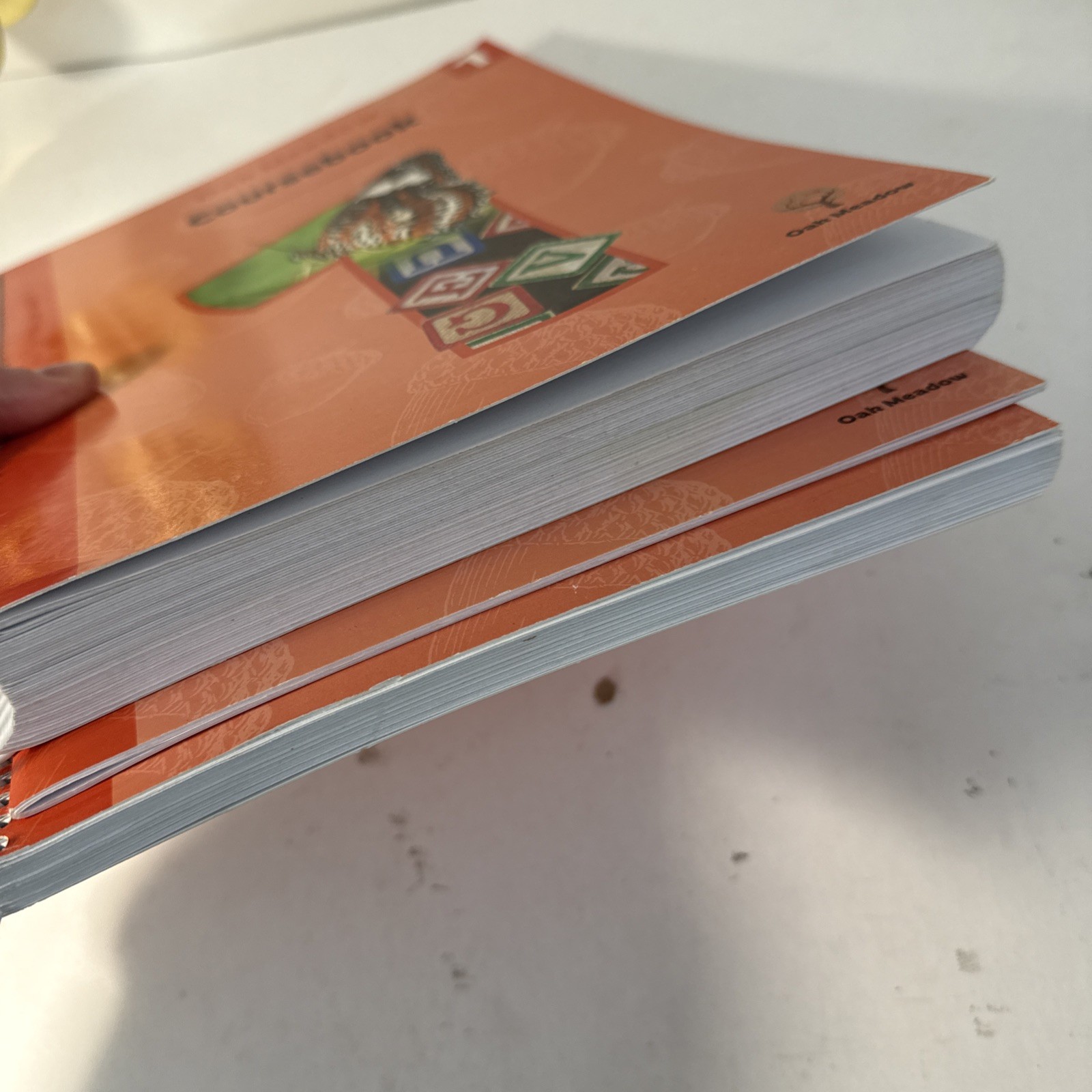 Oak Meadow Grade 1, (2020), Coursebook, Resource Book, & Recorder