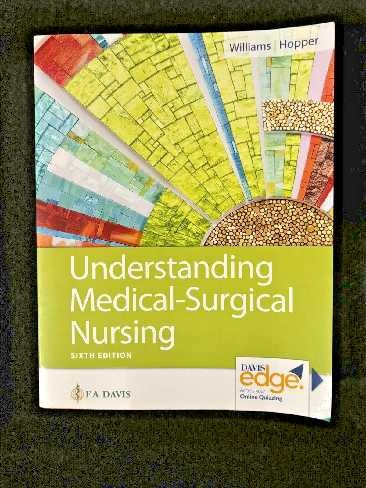 Understanding Medical-Surgical Nursing 6th Linda S. Williams and Paula D. Hopper