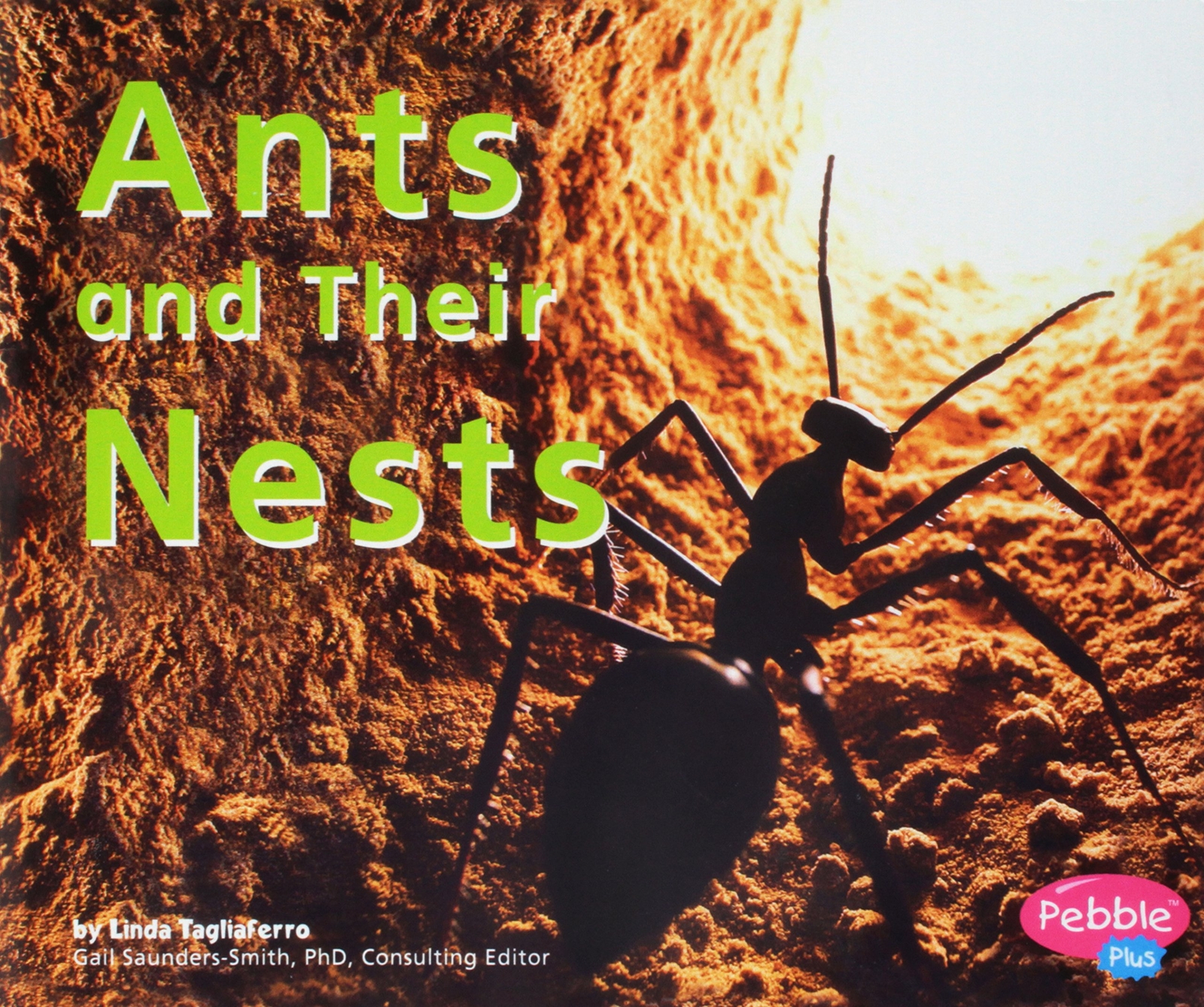 READING 2010 READ-ALOUD GRADE K UNIT 6 WEEK 6 ANTS AND THEIR NESTS – Scott F…