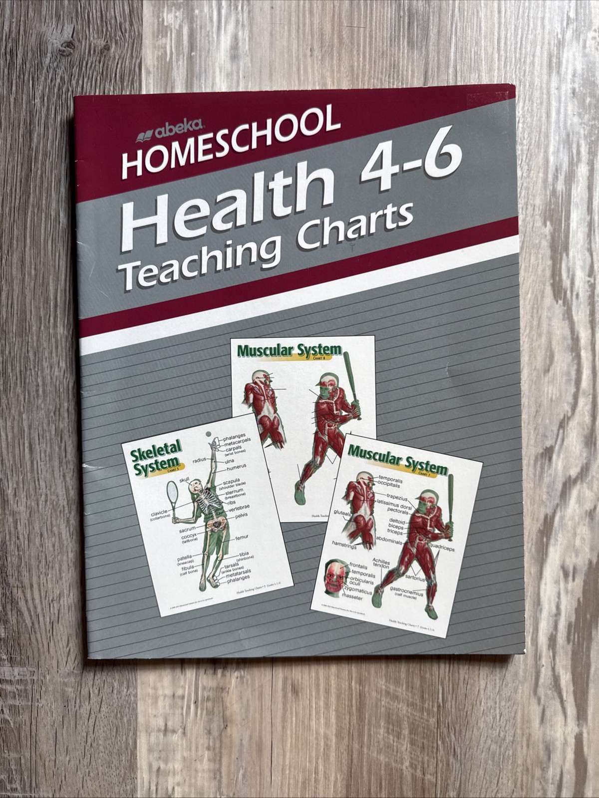 NEW- Abeka 6th Science & Health Complete Parent Kit Lesson Plans, Keys & Charts