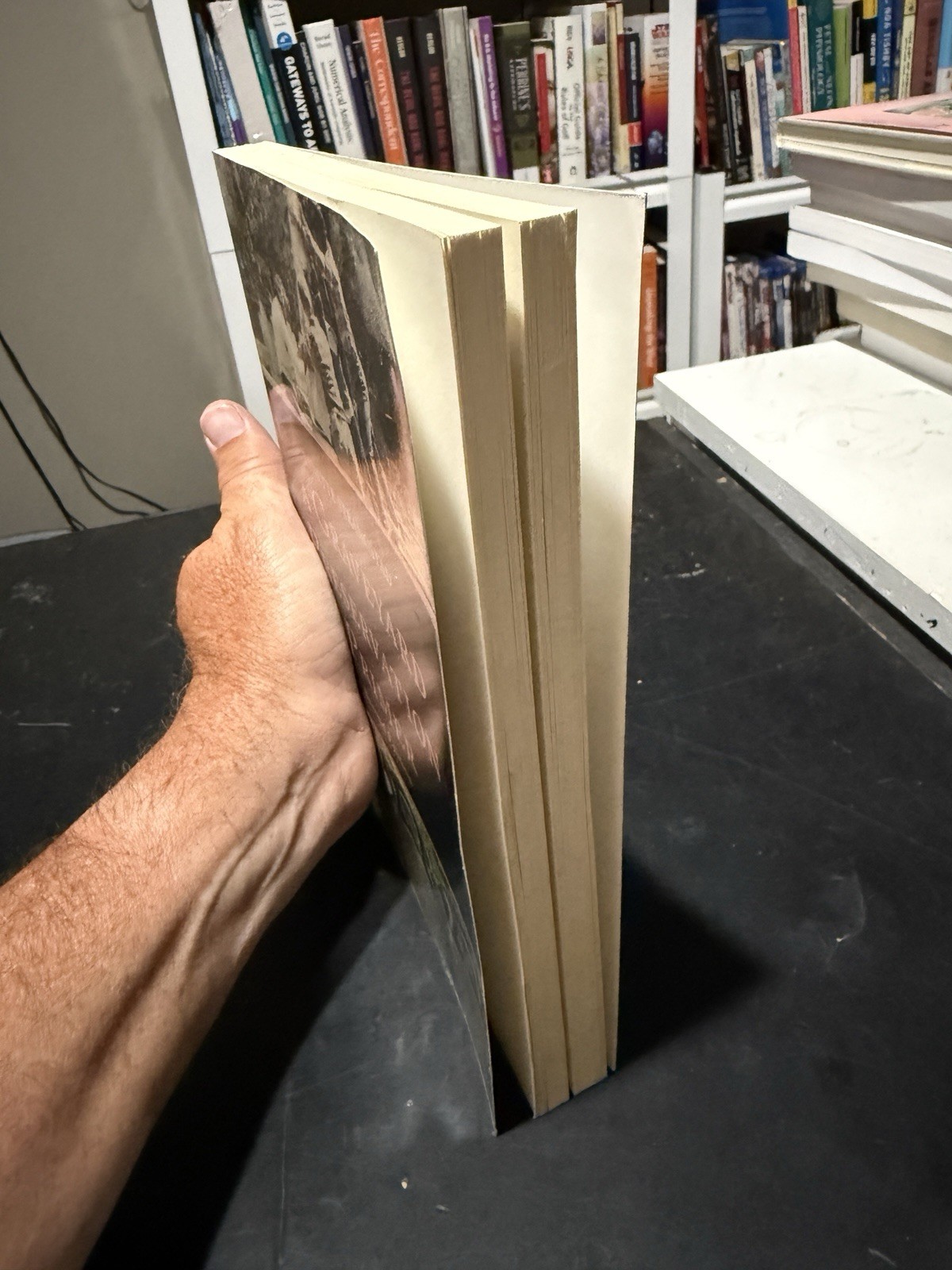 A Graveyard Preservation Primer (Am…, Strangstad, Lyn