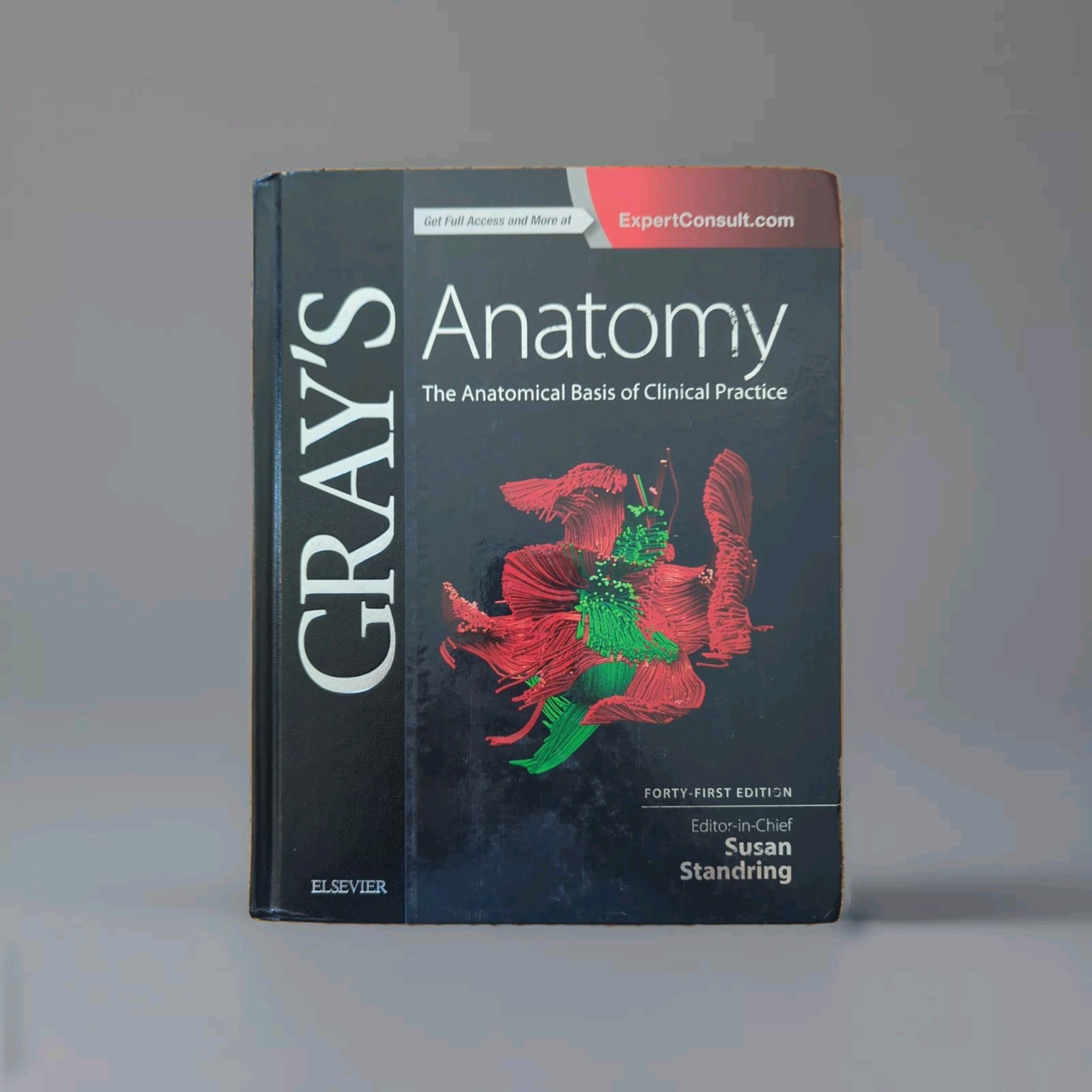 Gray’s Anatomy Ser.: Gray’s Anatomy : The Anatomical Basis of Clinical Practice