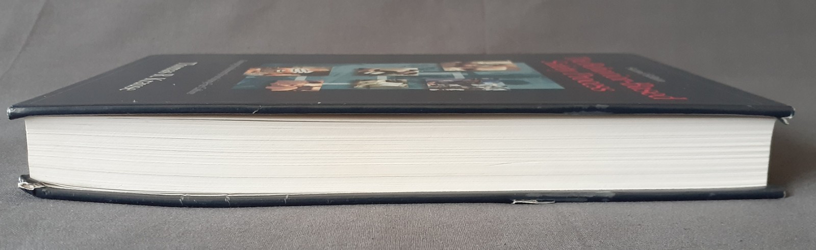 The Behavior-Based Safety Process Thomas R. Krause Second Edition