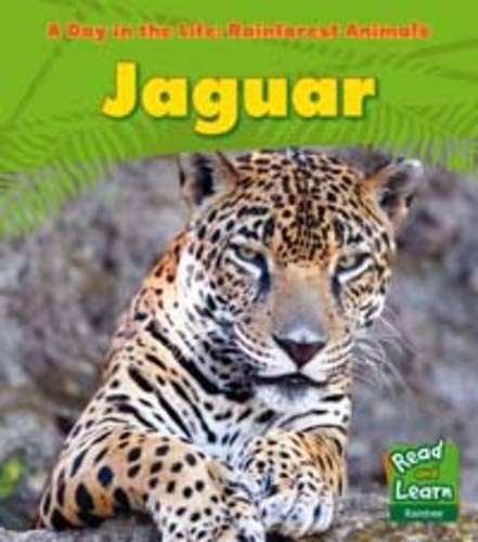Jaguar (A Day in the Life: Rain Forest Animals) by Anita Ganeri Hardback Book