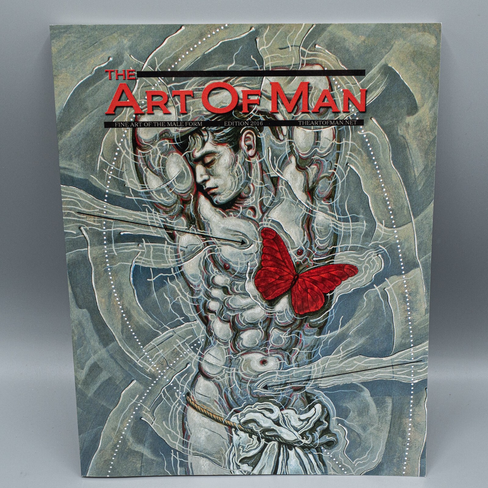 Art of Man – 2016 : Fine Art of the Male Form Annual Journal by Grady Harp