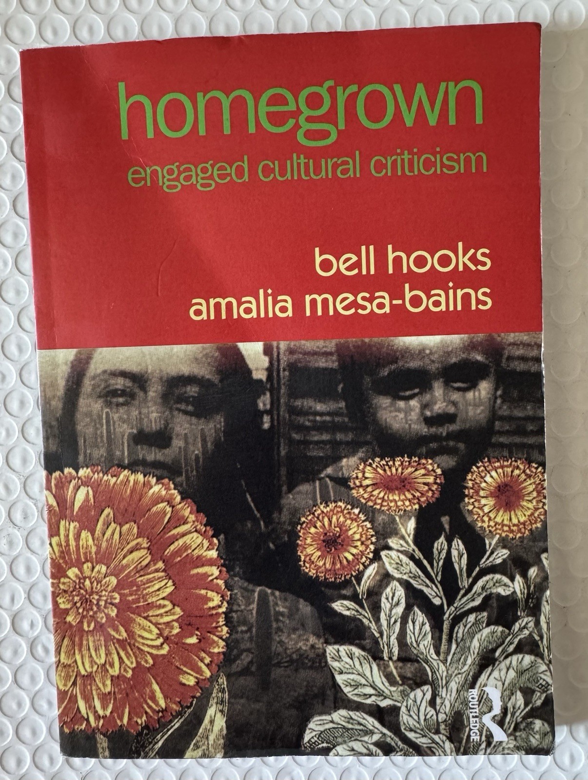 Homegrown: Engaged Cultural Criticism – Paperback By hooks, bell