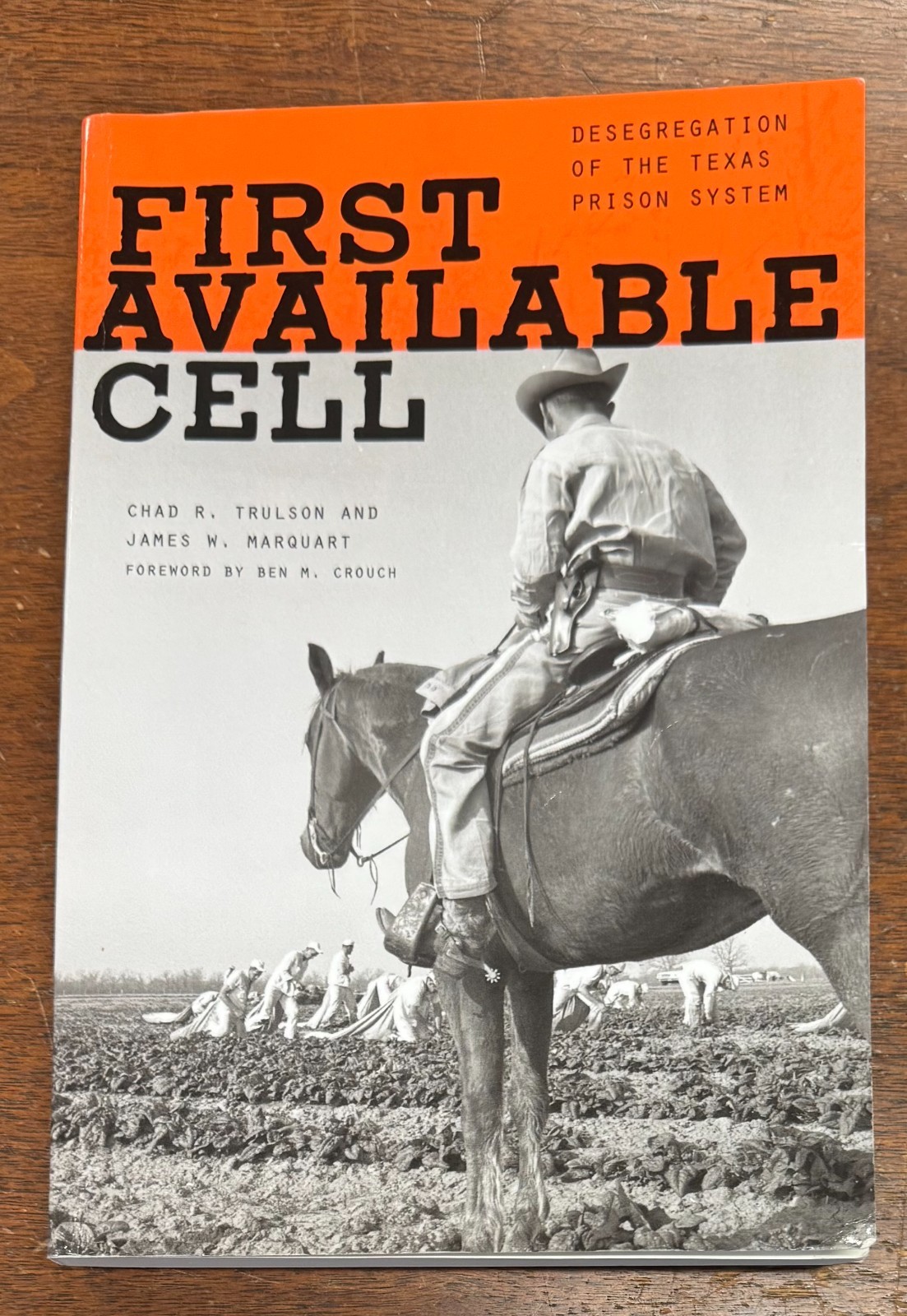 First Available Cell : Desegregation of the Texas Prison System by Chad R….