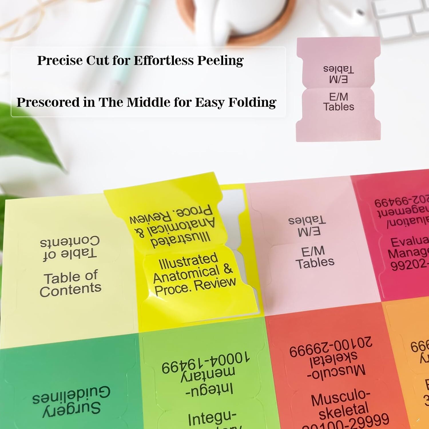 Upgraded Index Tabs for CPT 2025 Professional Edition, Complete CPT Book Tabs…