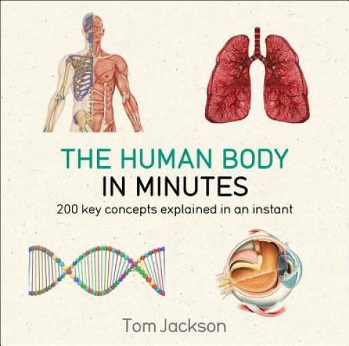 The Human Body in Minutes – GOOD