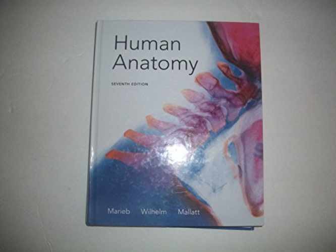 Human Anatomy (7th Edition) – Hardcover, by Marieb Elaine N.; – Acceptable