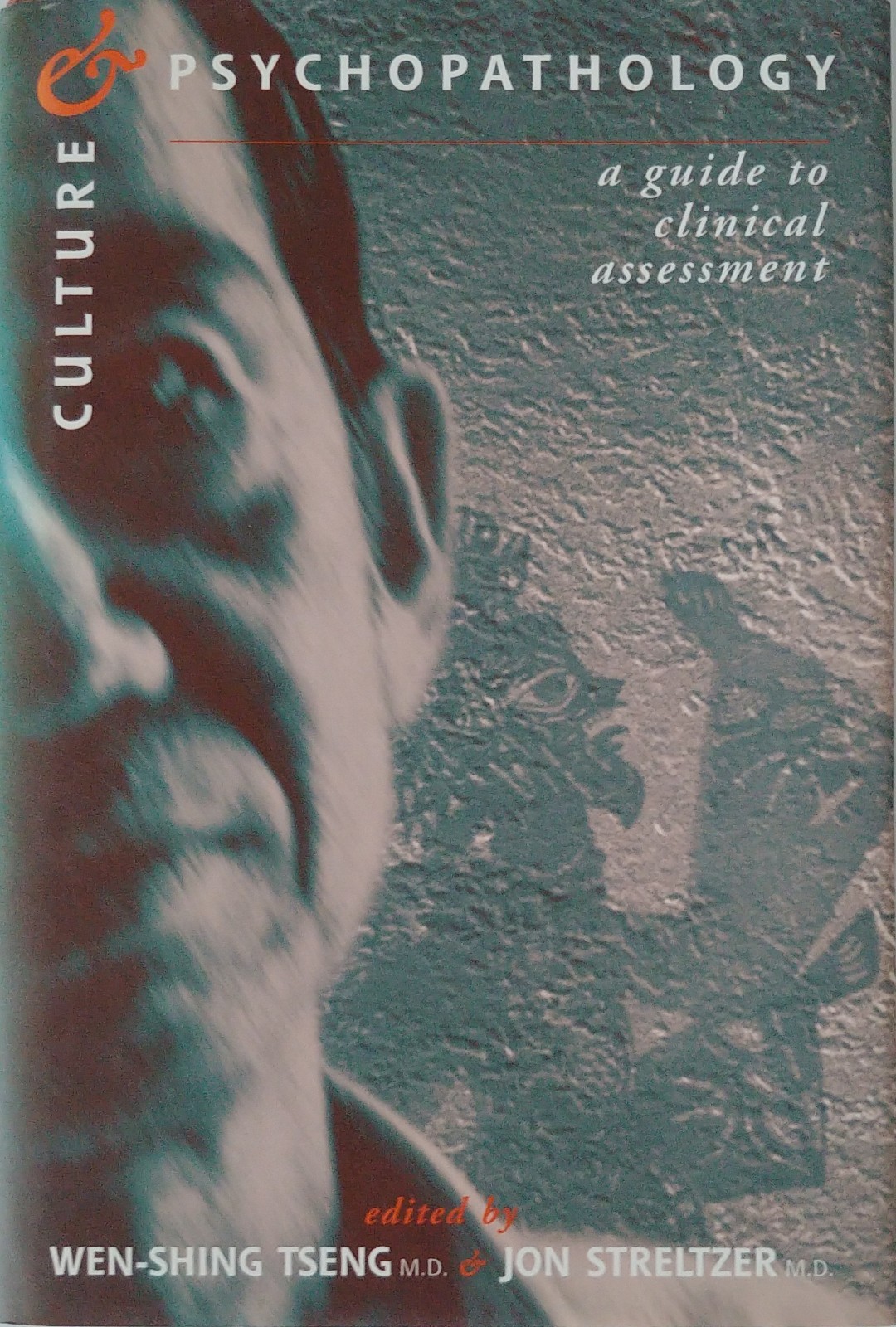 Culture and Psychopathology : A Guide to Clinical Assessment by Jon Streltzer…
