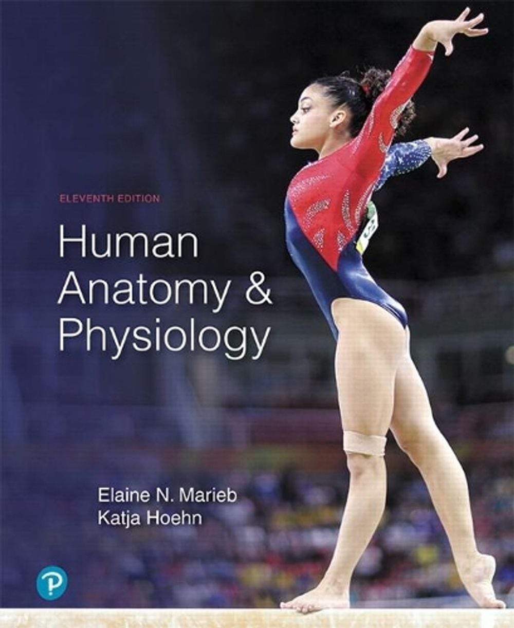 Human Anatomy & Physiology by Katja Hoehn (English) Hardcover Book