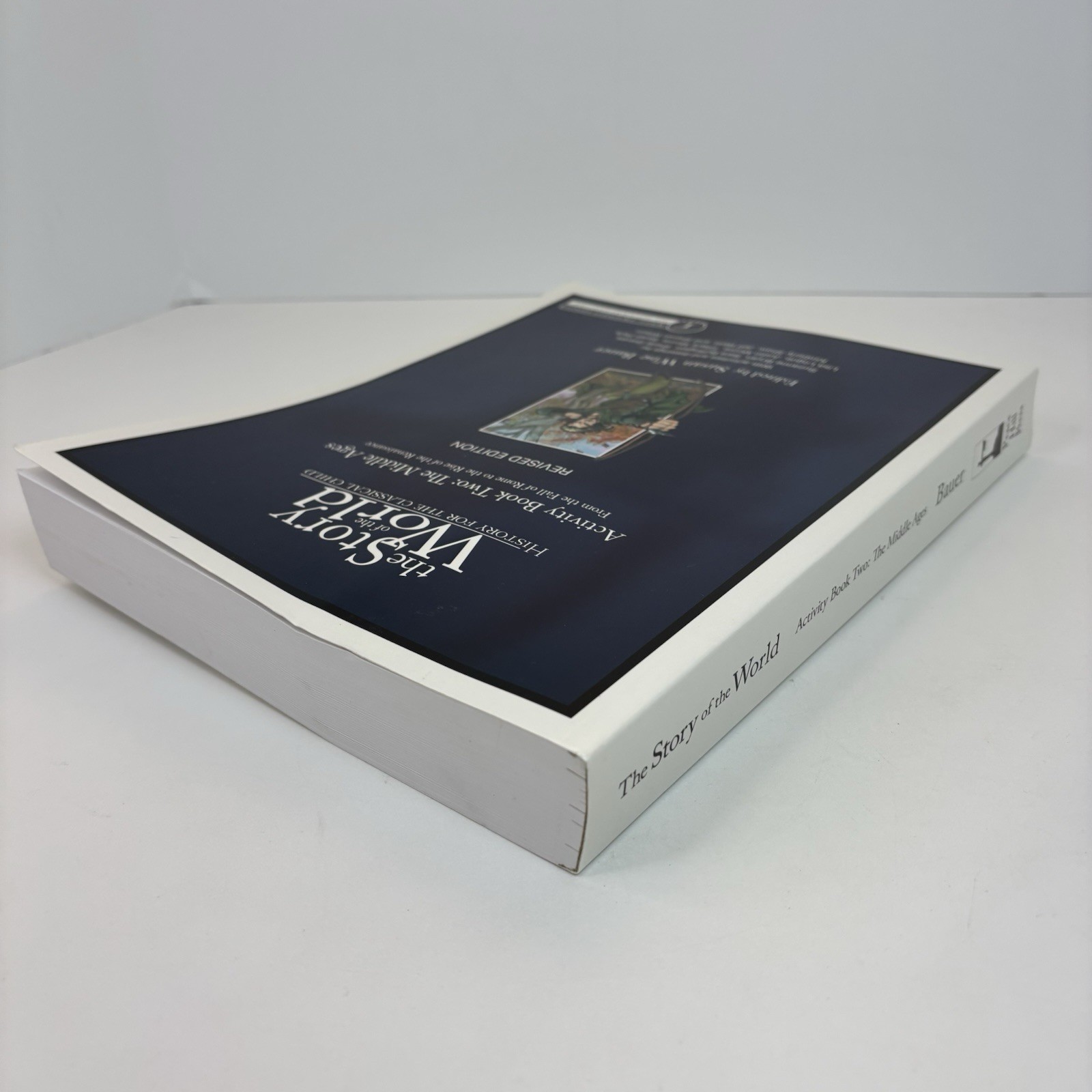 Story of the World Activity Book Two Middle Ages Bauer Well-Trained Mind 2007 C9
