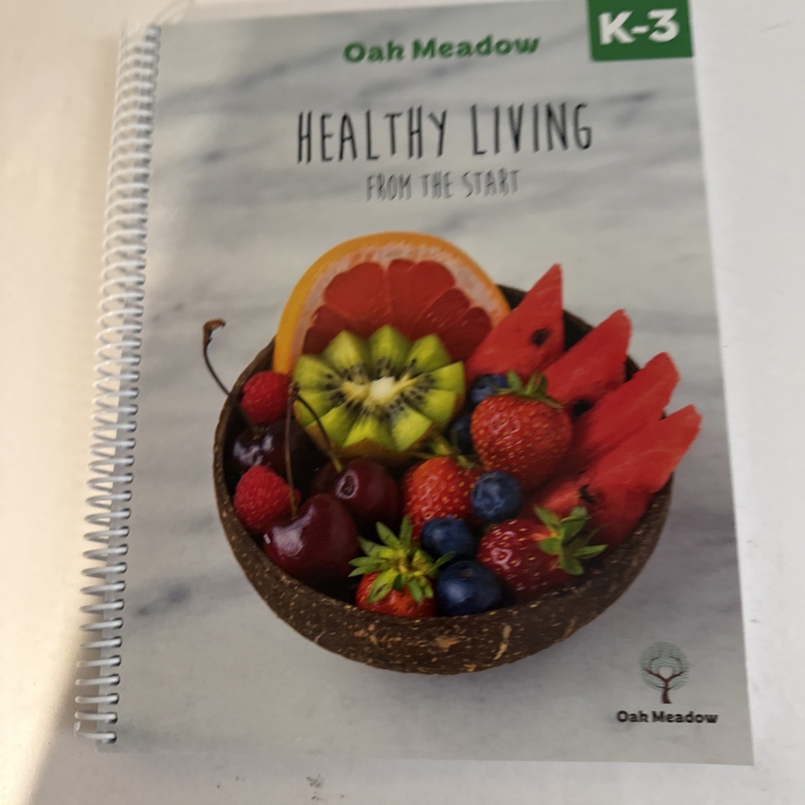 Oak Meadow, (2020) Guide To Teaching, Crafts, Healthy Living, Grades K-3