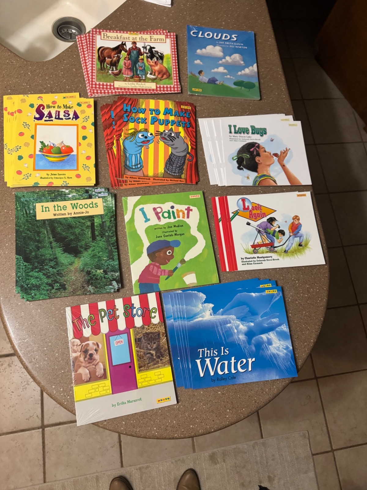 Back 2 School Lot 10 titles Mondo Book Shop emergent book classroom, homeschool