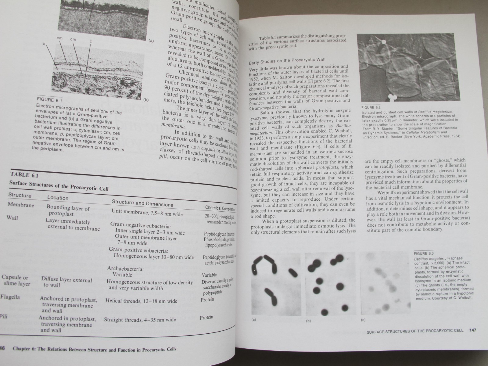 General Microbiology – Stanier, Ingraham, Wheelis, Painter