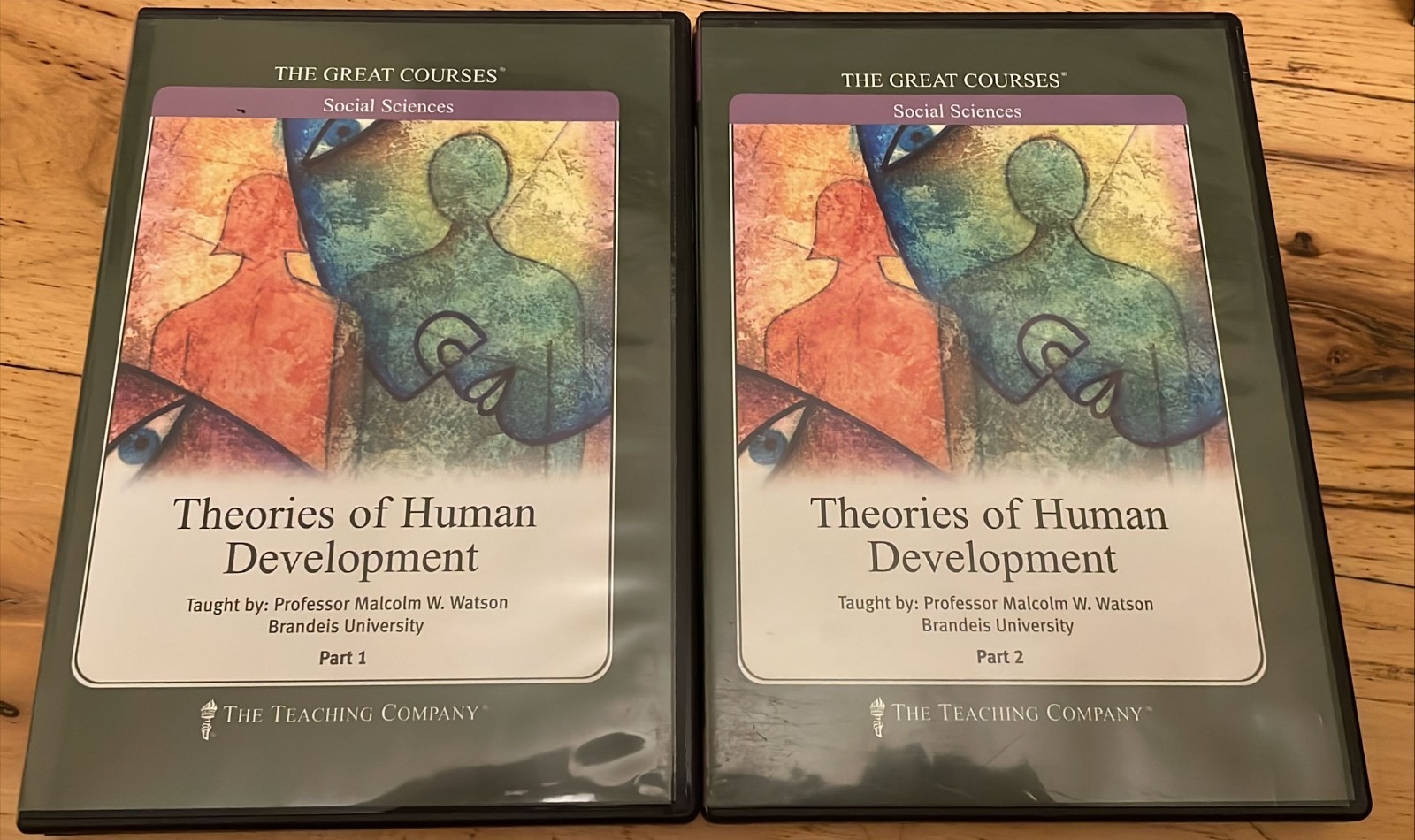 Great courses theories of human development