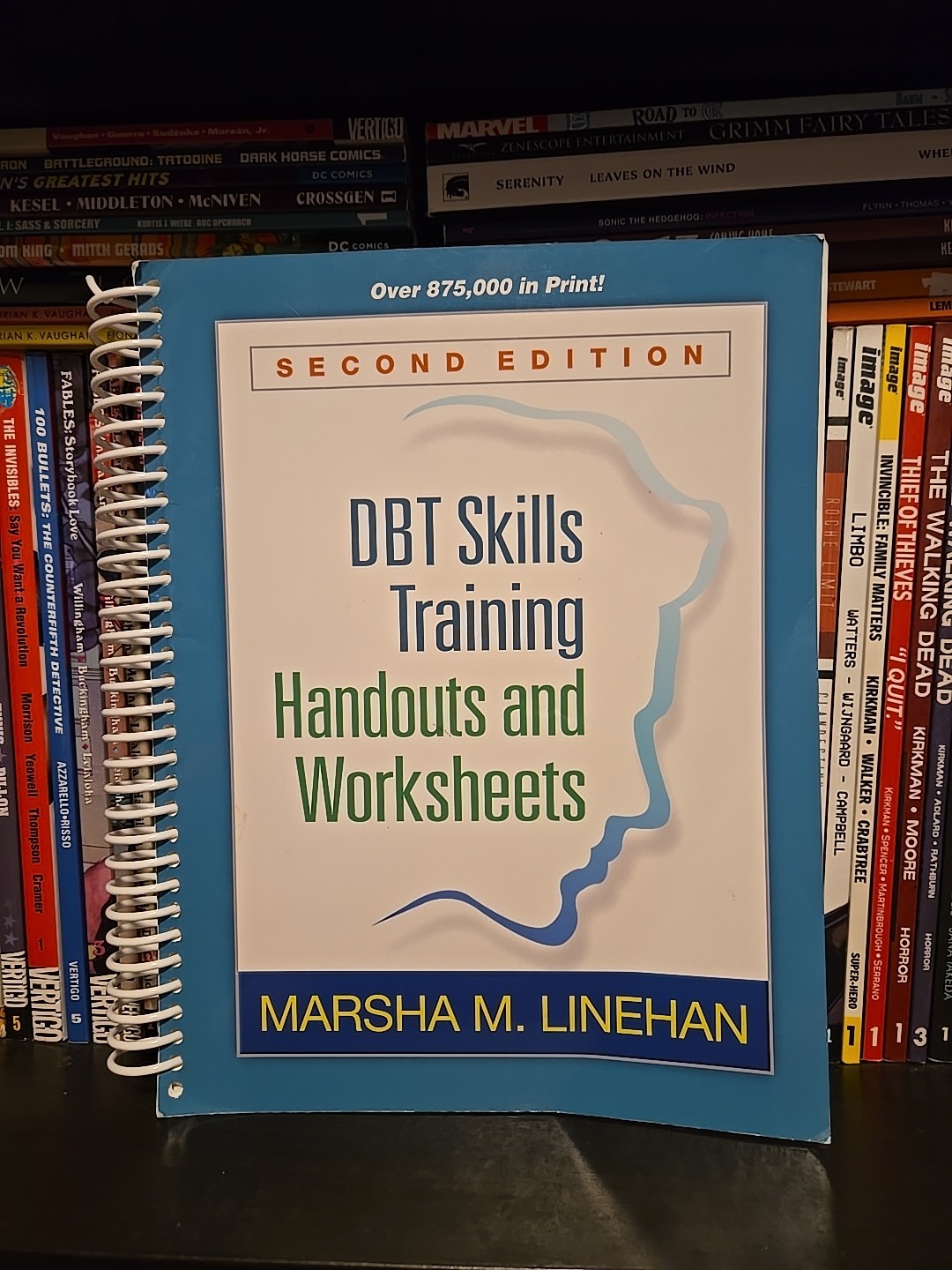 DBT Skills Training Handouts & Worksheets Marsha M. Linehan 2nd Edition Spiral