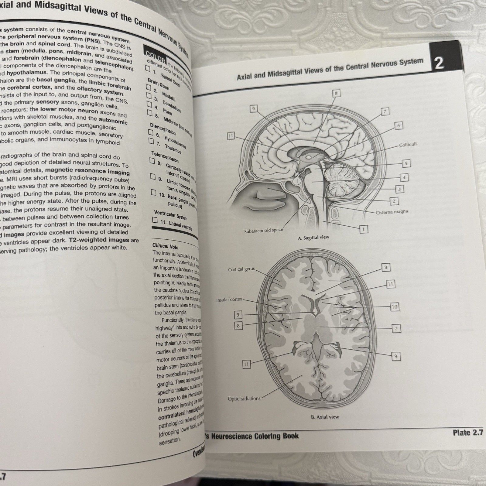 Netter Basic Science Ser.: Netter’s Neuroscience Coloring Book by Mary Summo…