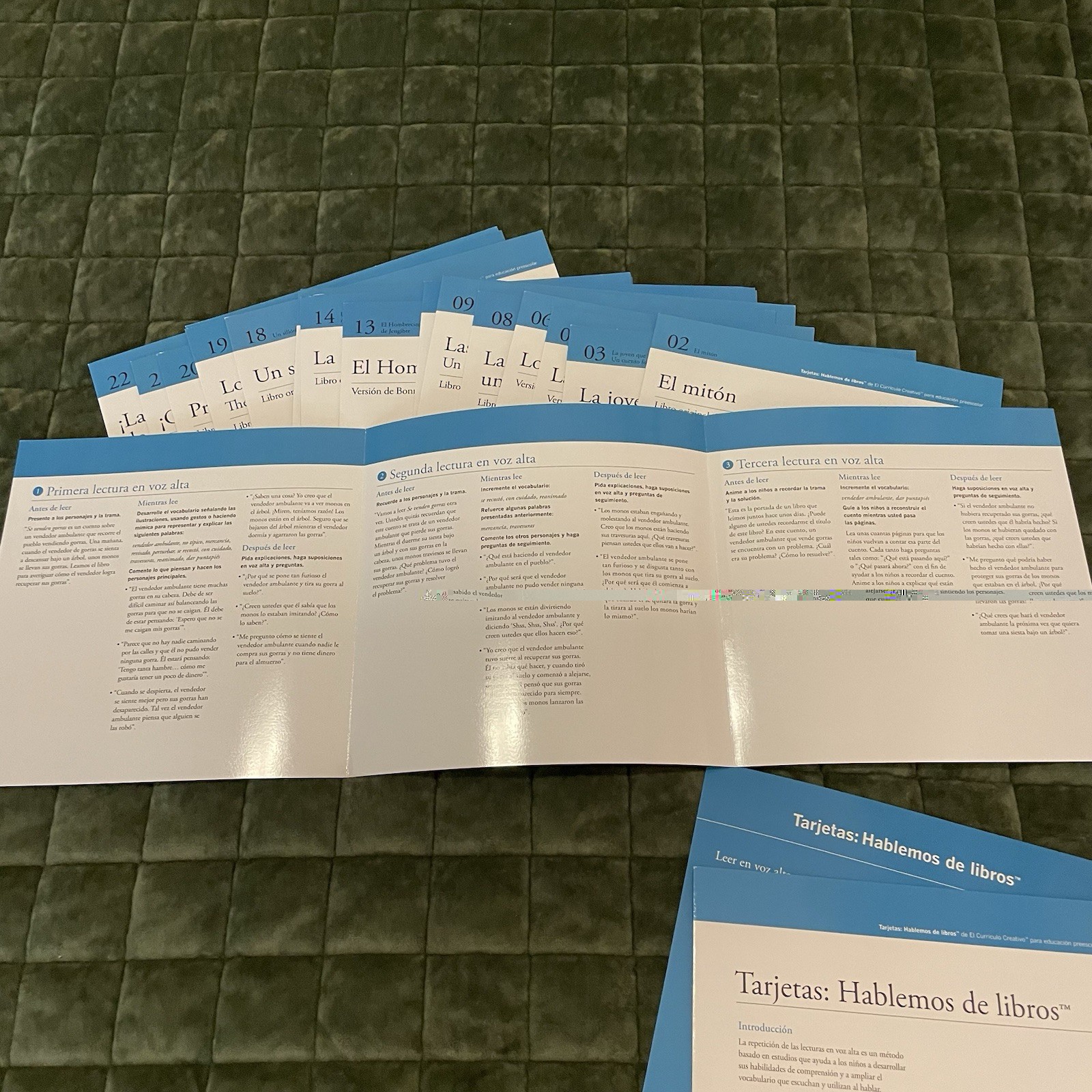 Creative Curriculum Preschool Intentional Teaching Book Discussion SPANISH Cards
