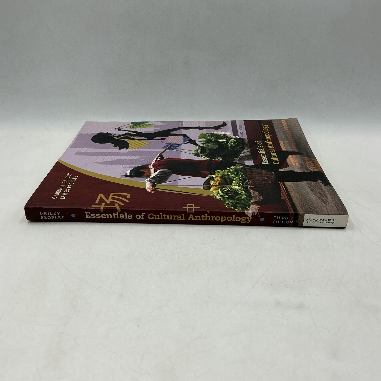 ESSENTIALS OF CULTURAL ANTHROPOLOGY BAILEY PEOPLES 2014 PAPERBACK WADSWORTH