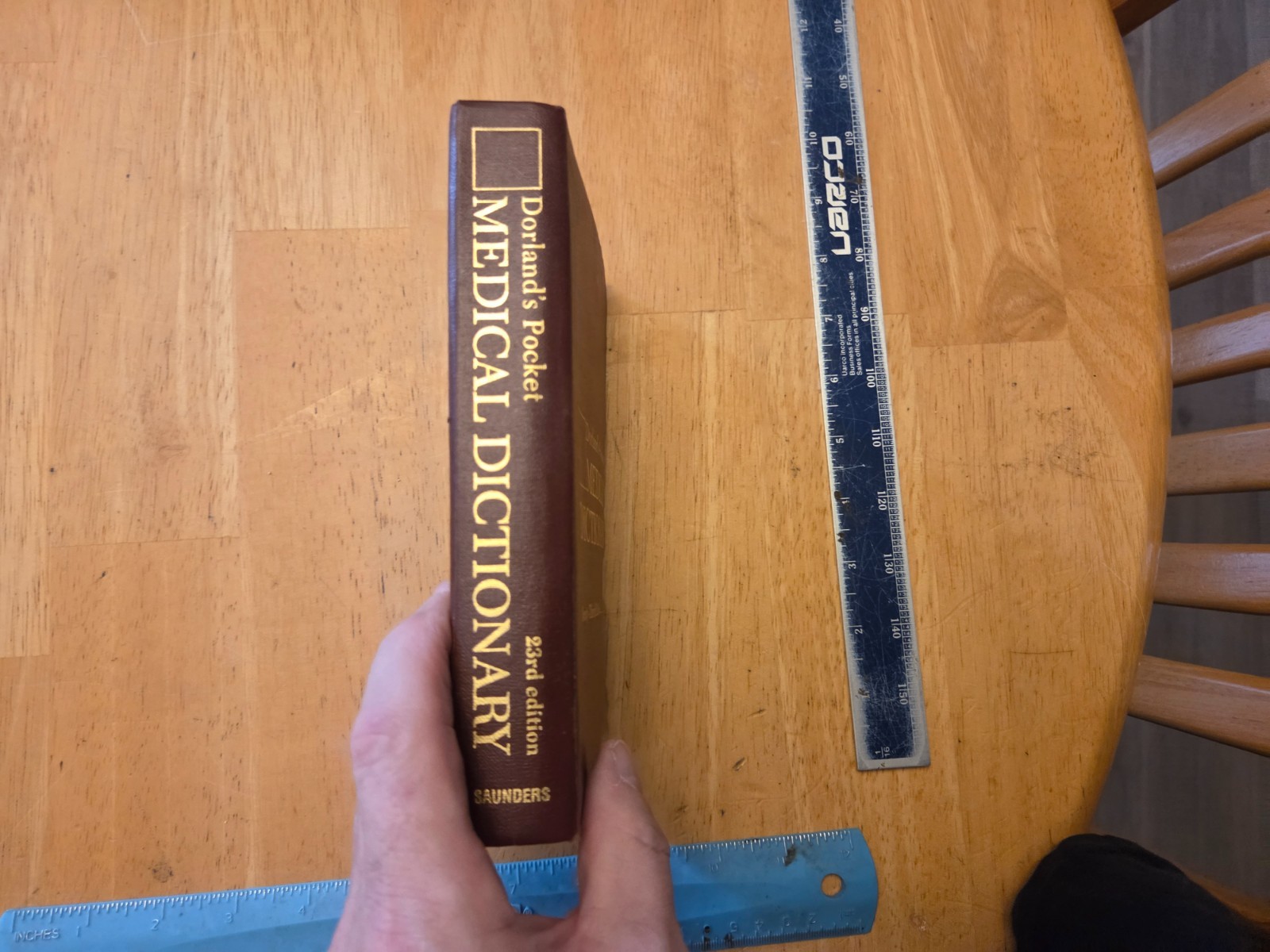 Dorland’s Pocket Medical Dictionary by Newman W. Dorland (1982, Hardcover)
