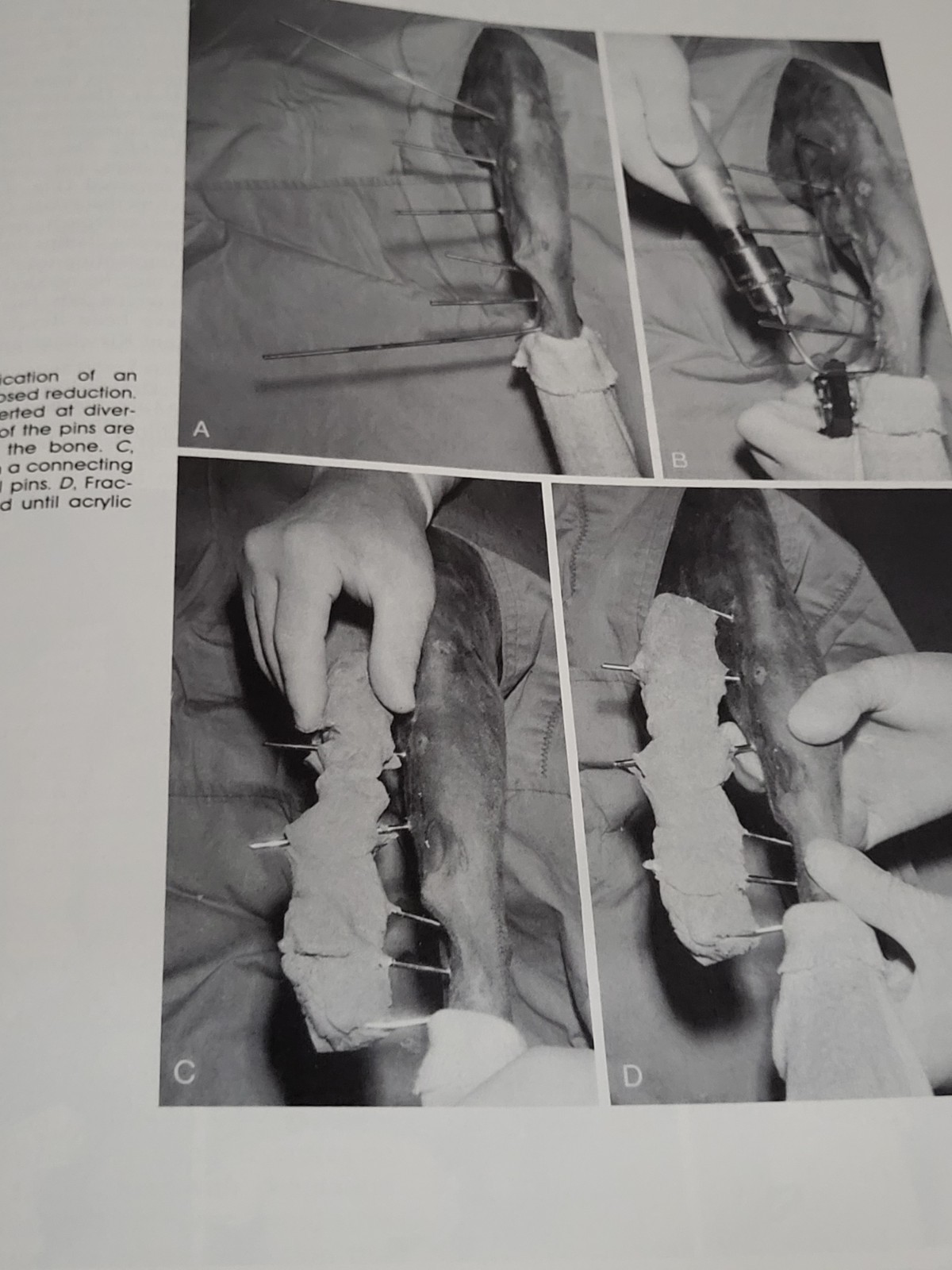 Textbook of Small Animal Surgery Volumes 1 & 2 Douglas Slatter Second Edition