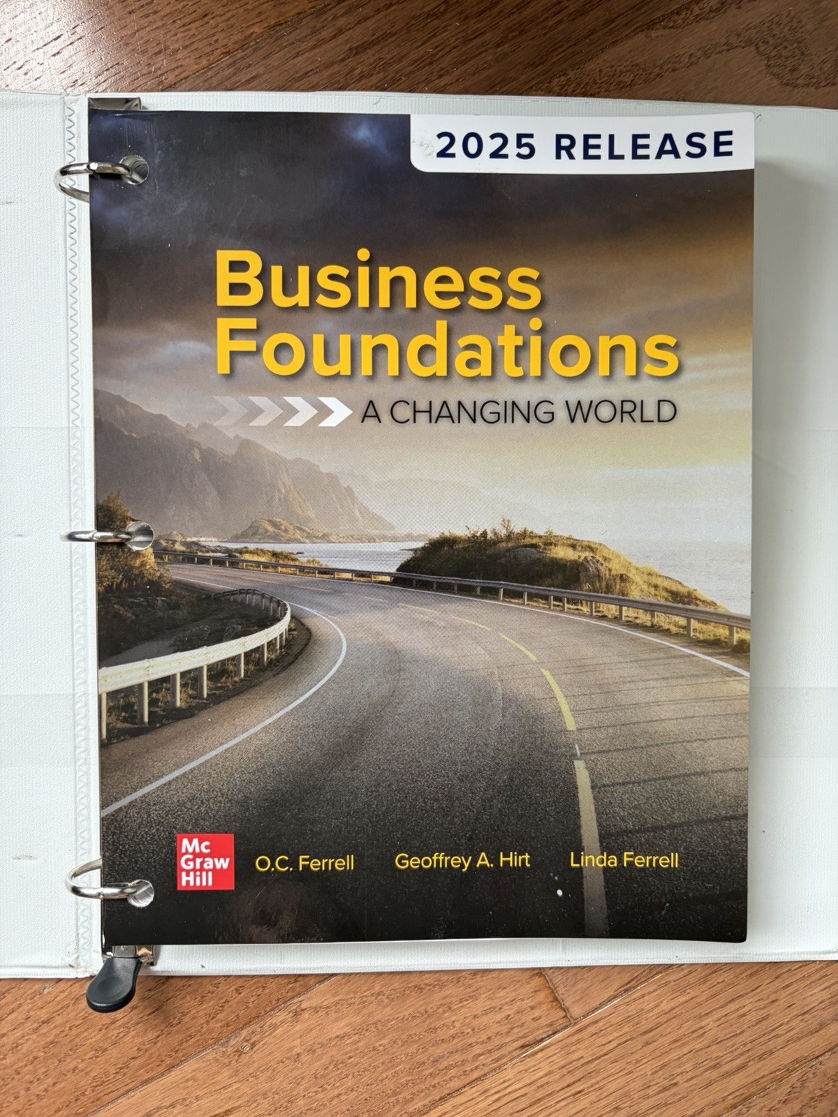 Business Foundations: A Changing World: 2025 Release