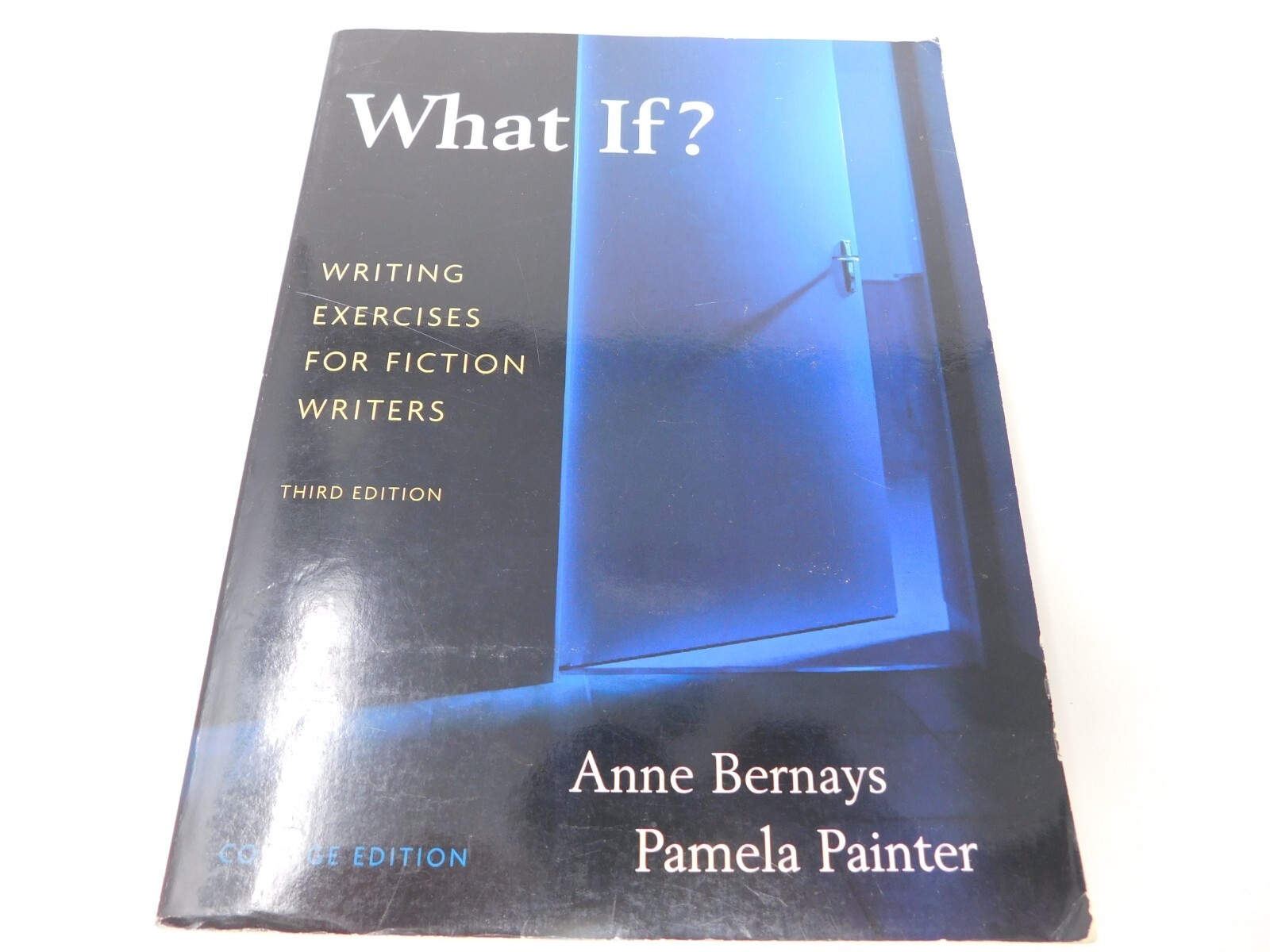 What If? Writing Exercises for Fiction Writers Pamela and Bernays paperback USED