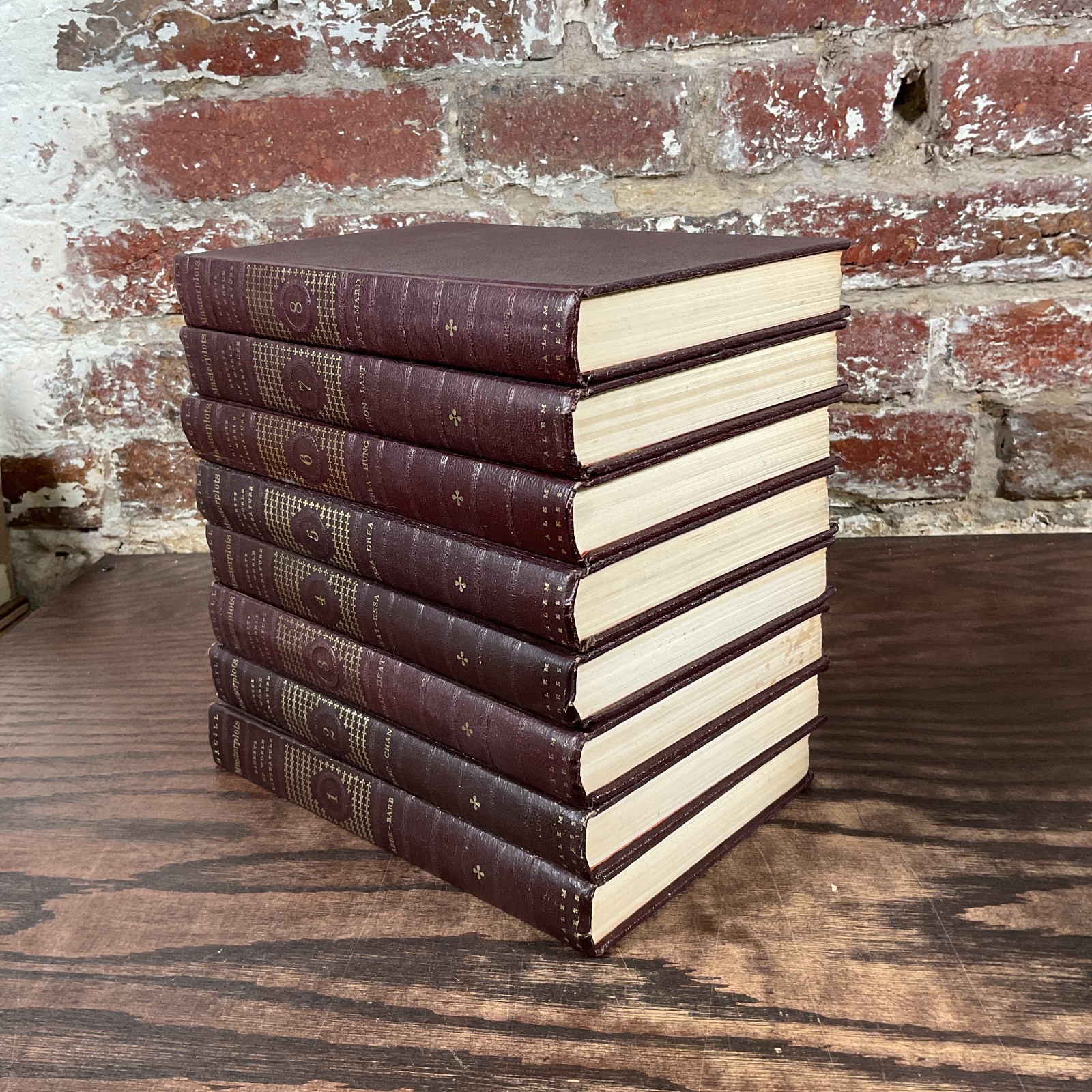 Lot Of Nineteen Masterplots Volumes By Magill, Frank N