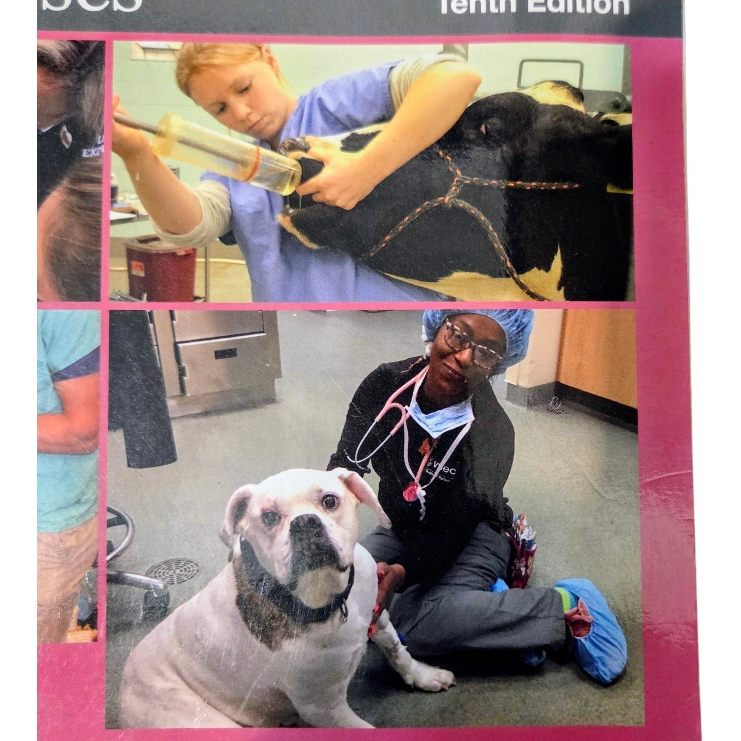 Workbook for McCurnin’s Clinical Textbook Veterinary Technicians 10th Edition