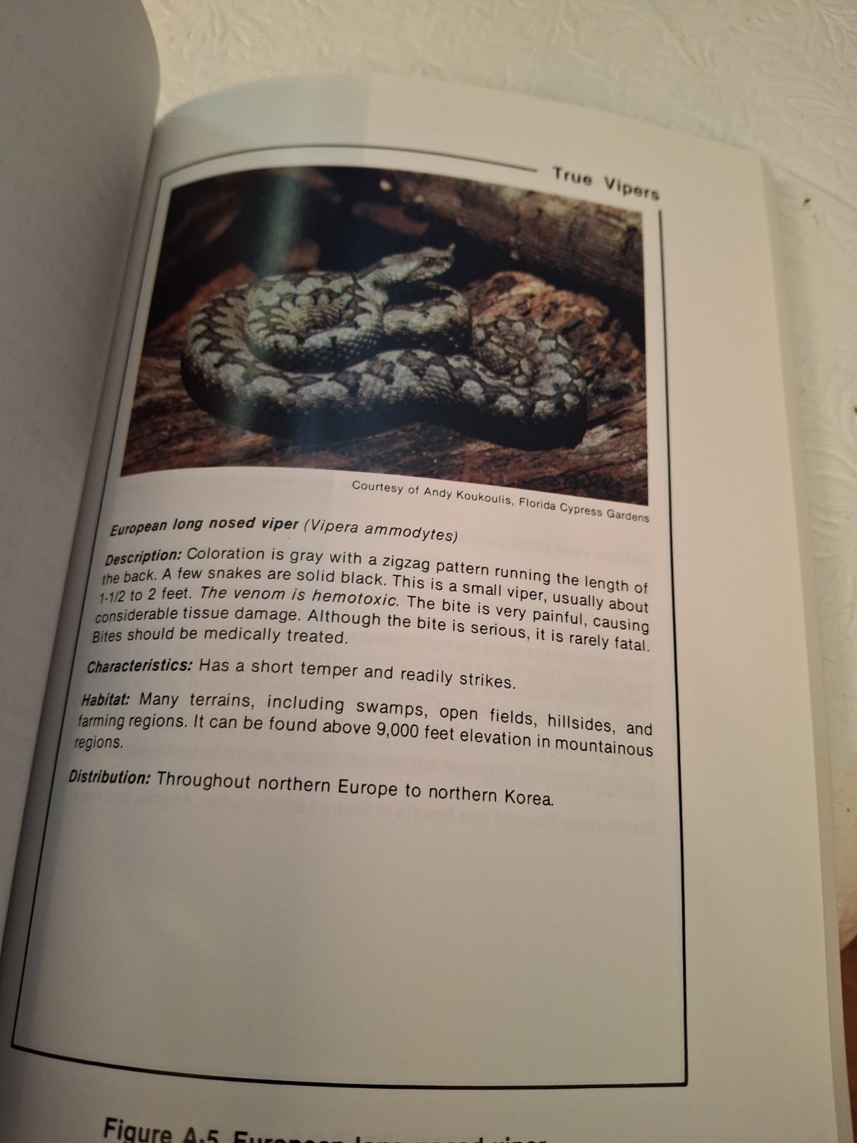 SURVIVAL MANUAL FM 21-76; Reprint
