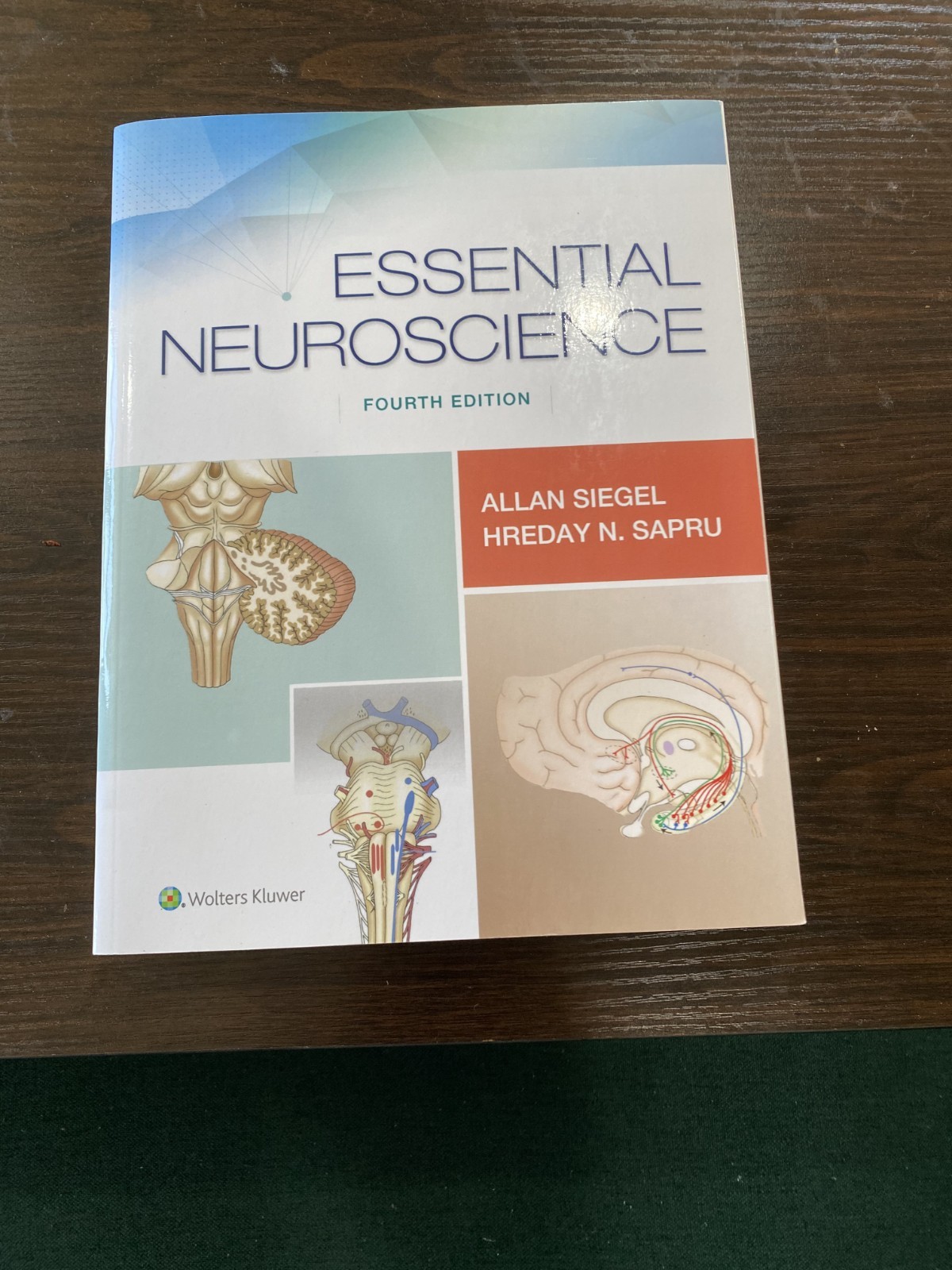 Essential Neuroscience by Allan Siegel and Hreday N. Sapru (2018, Trade…