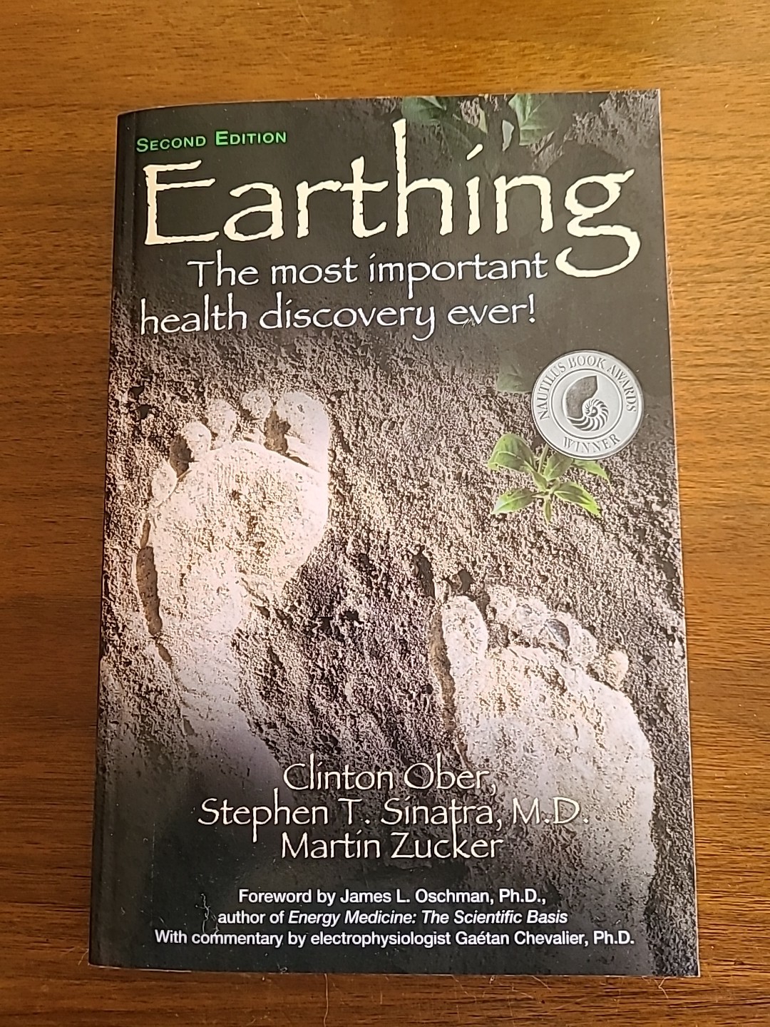 Earthing (2nd Edition) : The Most Important Health Discovery Ever!