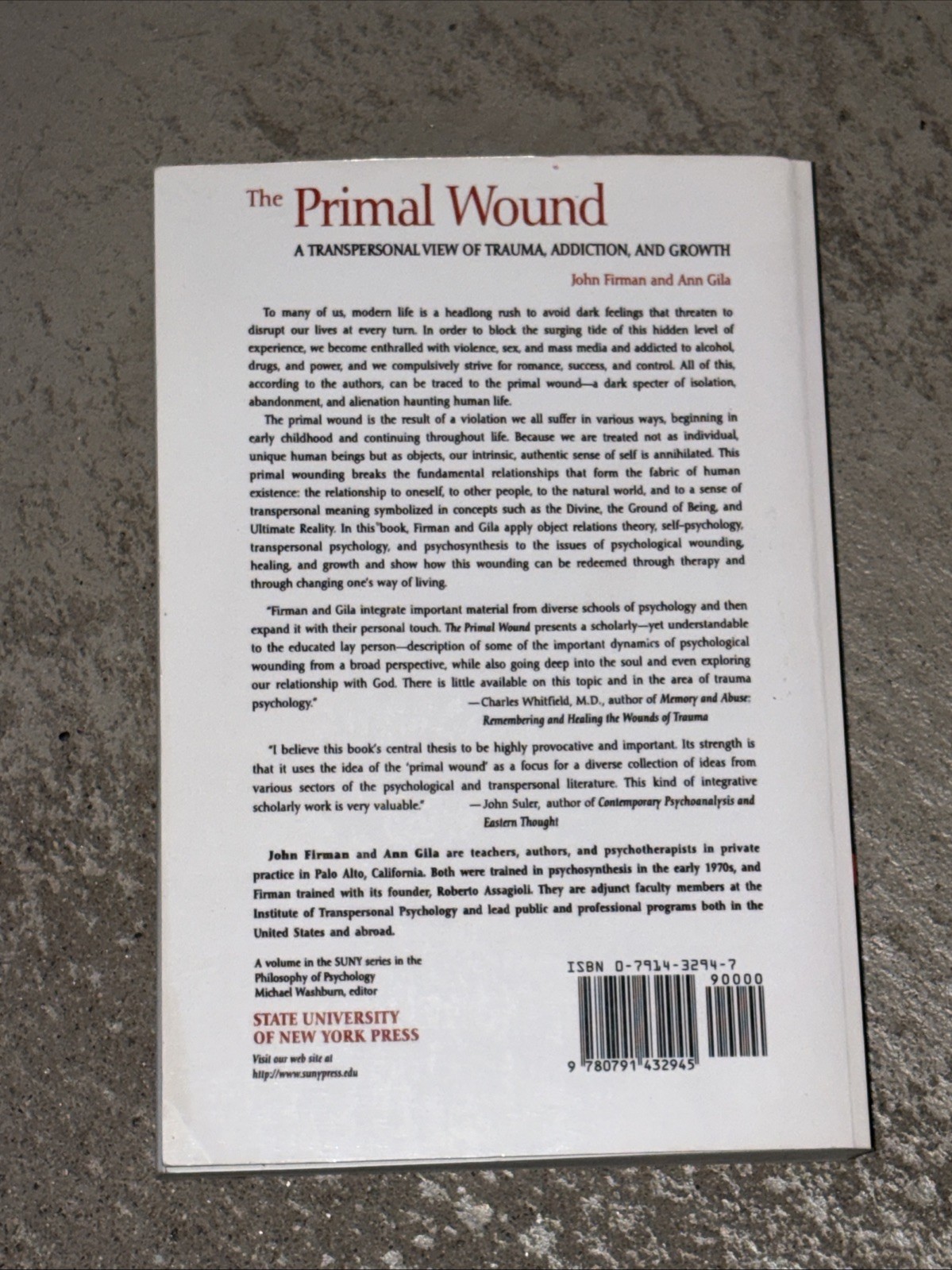 Suny Series in the Philosophy of Psychology Ser.: Primal Wound : A Transpersonal