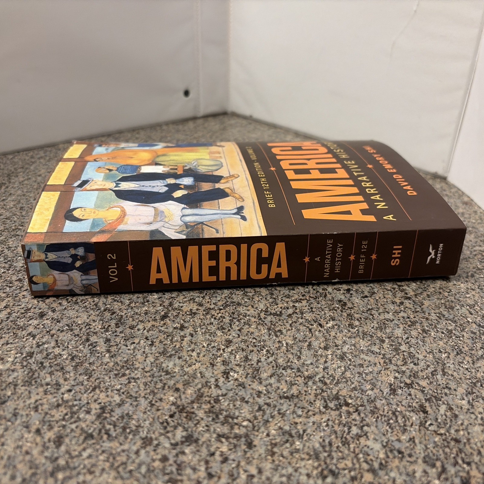 America : A Narrative History (Vol. 2) by Shi, w/ code (2022, Trade Paperback)