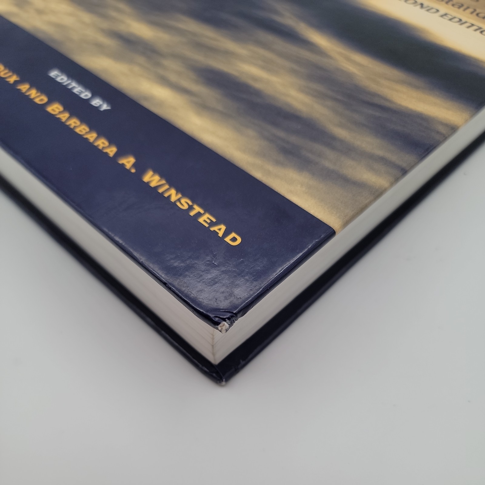 Psychopathology : Foundations for a Contemporary Understanding Second Edition