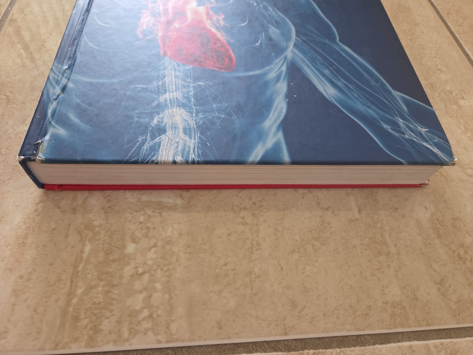 Human Anatomy (8th Edition) – Standalone book – Hardcover – Acceptable