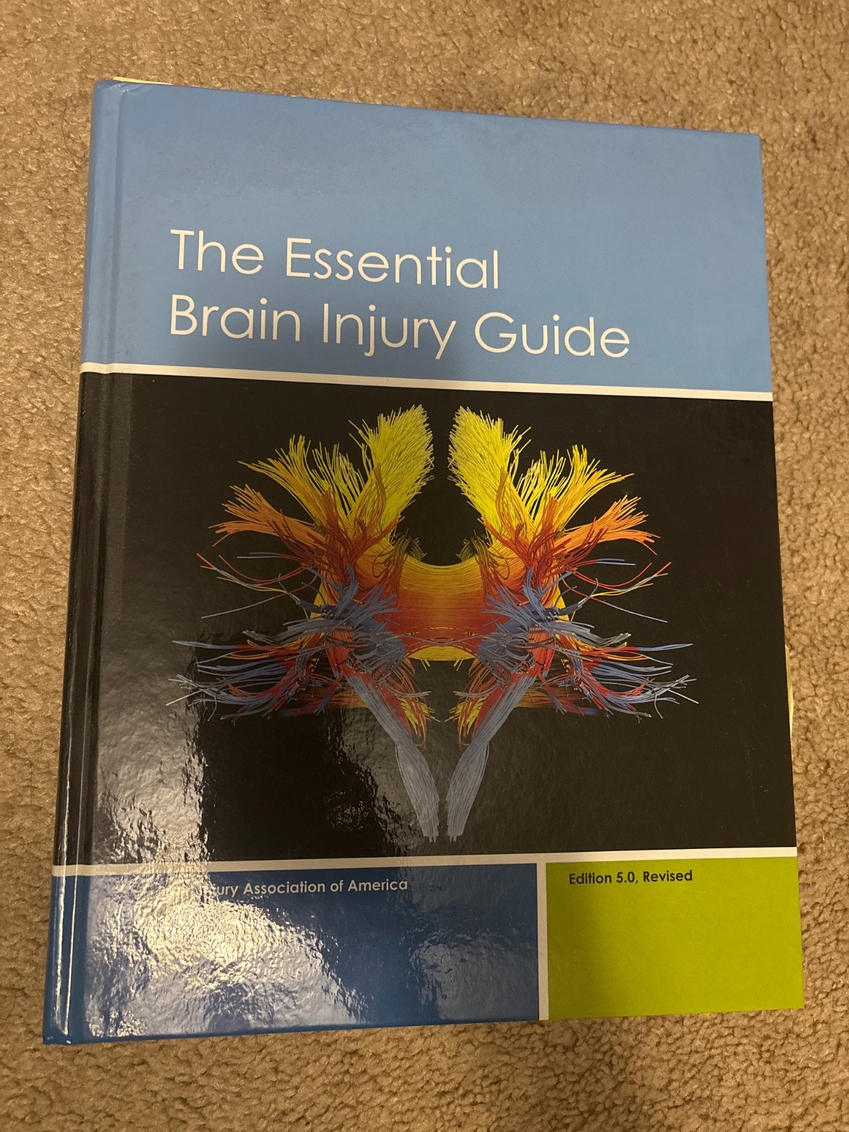 Essential Brain Injury Guide by Brain Injury Association of America (2024,…