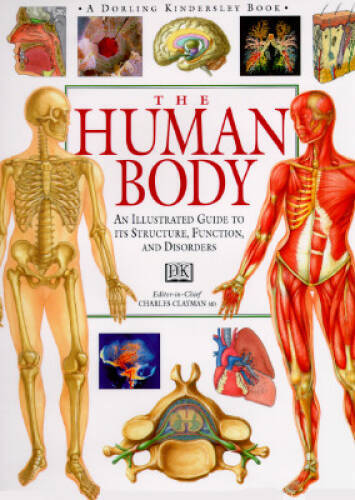 The Human Body (An Illustrated Guide to Its Structure, Function, and Dis – GOOD