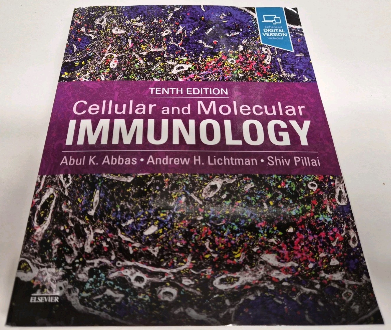 Cellular and Molecular Immunology – Paperback, by Abbas MBBS Abul – Very Good