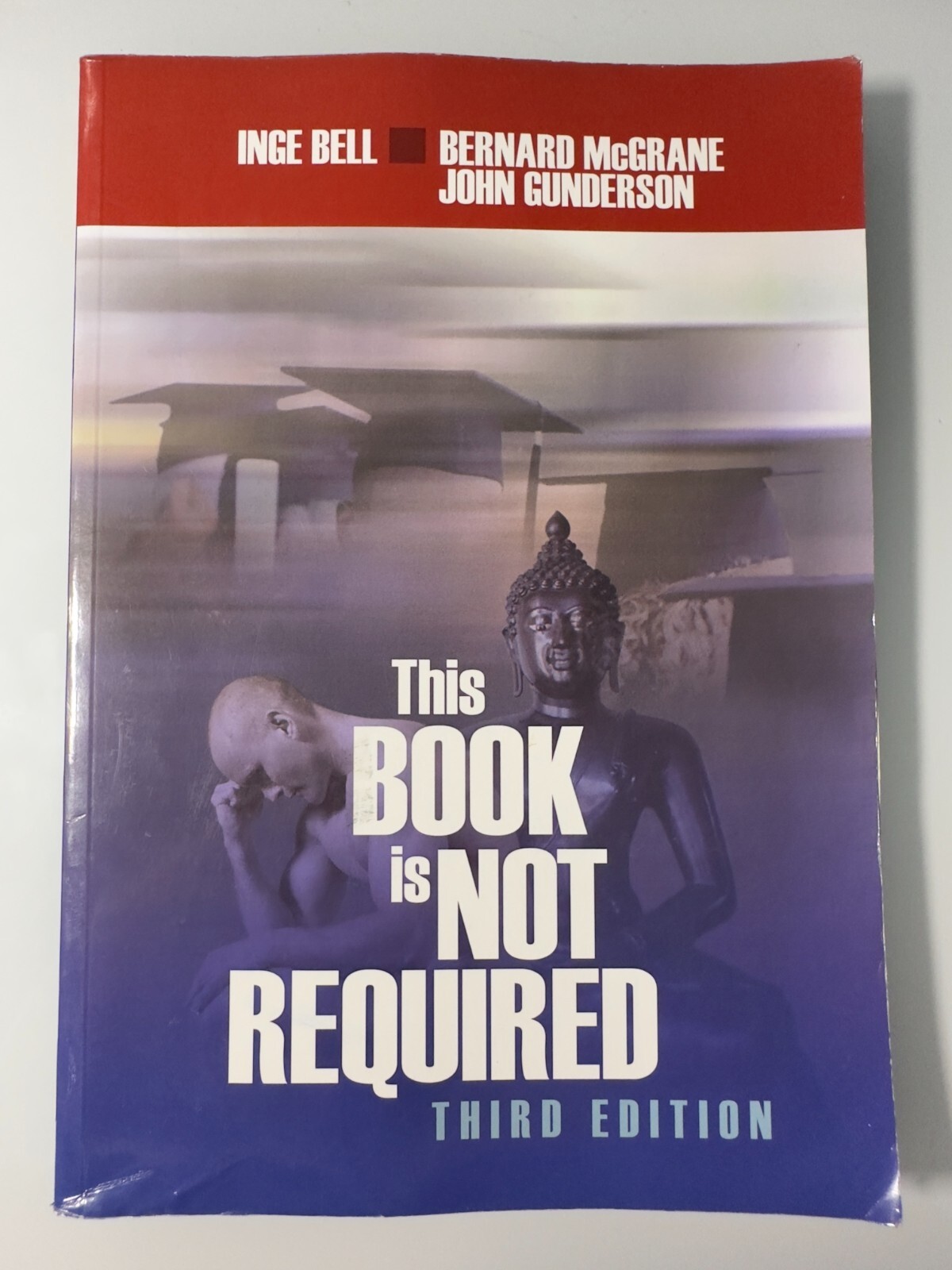 This Book is Not Required by Inge Bell et al Paperback Nonfiction College Ed