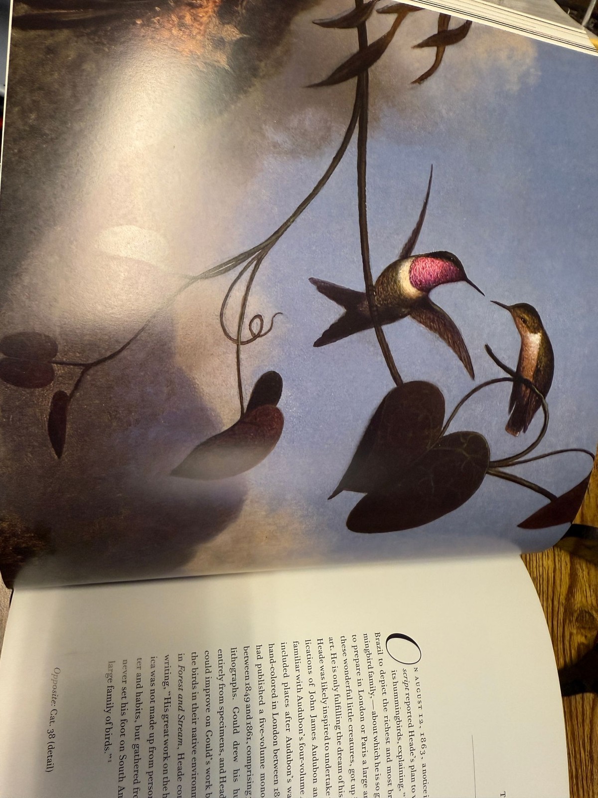 Martin Johnson Heade Stebbins Hardcover Art Book Yale University Press 1st Ed DJ