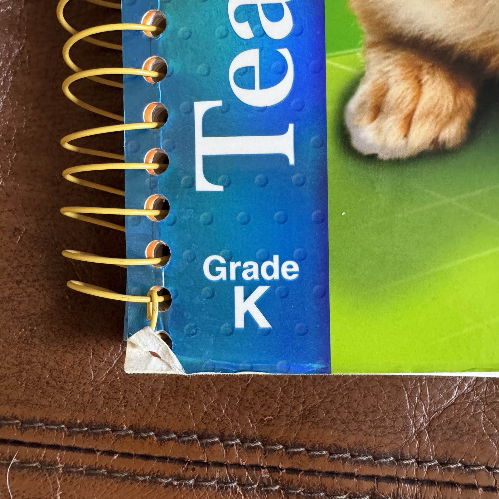 Houghton Mifflin Math Grade K TEACHERS EDITION + Student Workbooks Homeschool