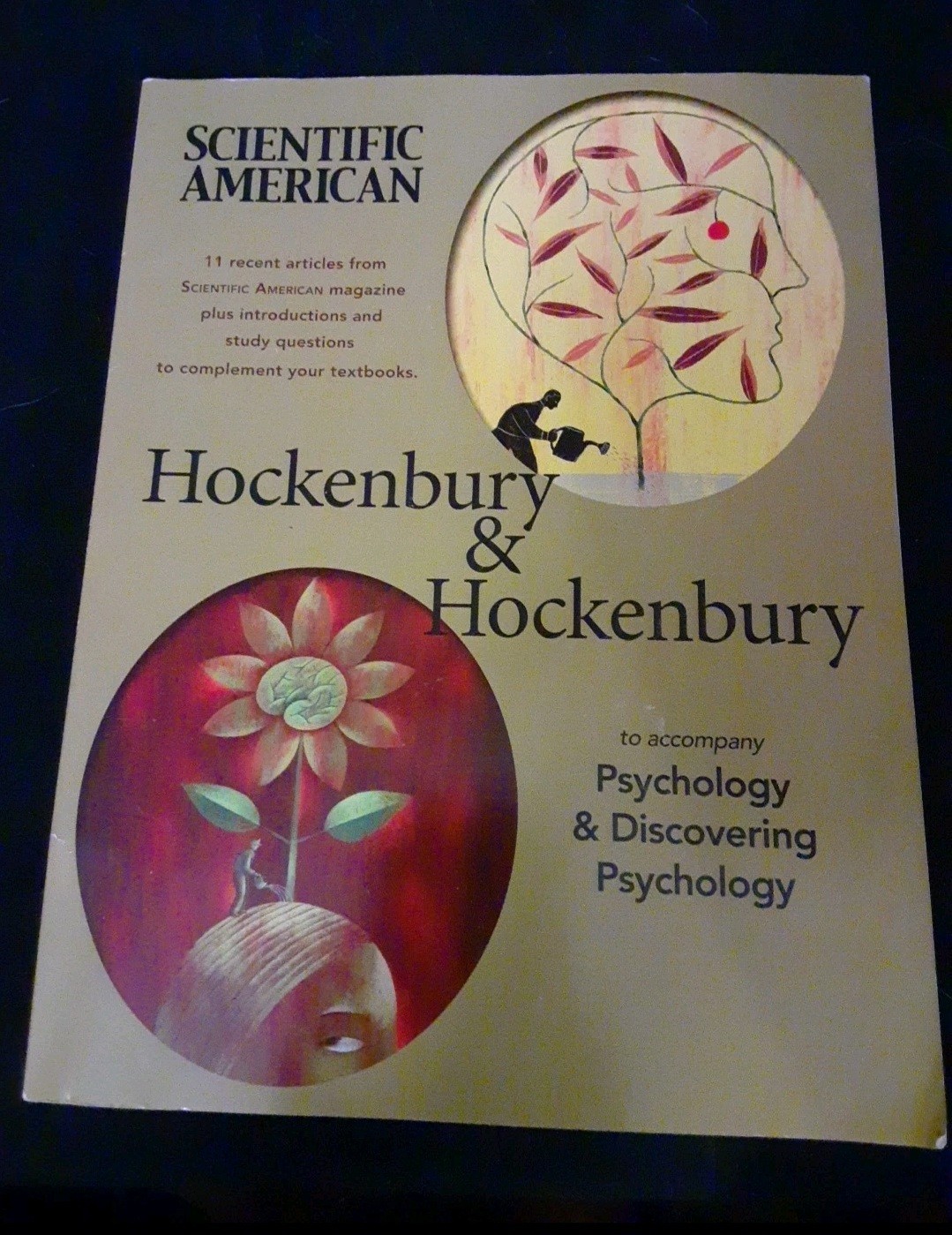 Vintage Lot Of 2 Discovering Psychology, 5th Edition & Companion Textbook!