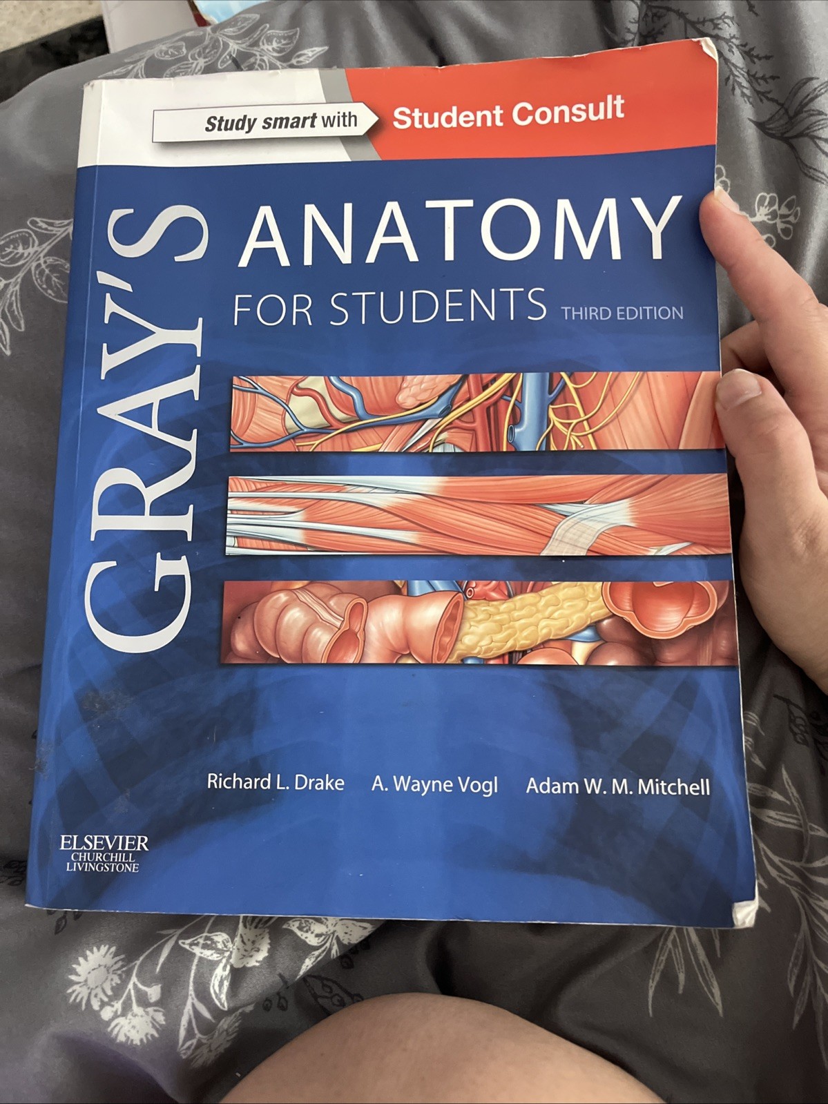 Gray’s Anatomy for Students : by A. Wayne Vogl, Adam W. M. Mitchell