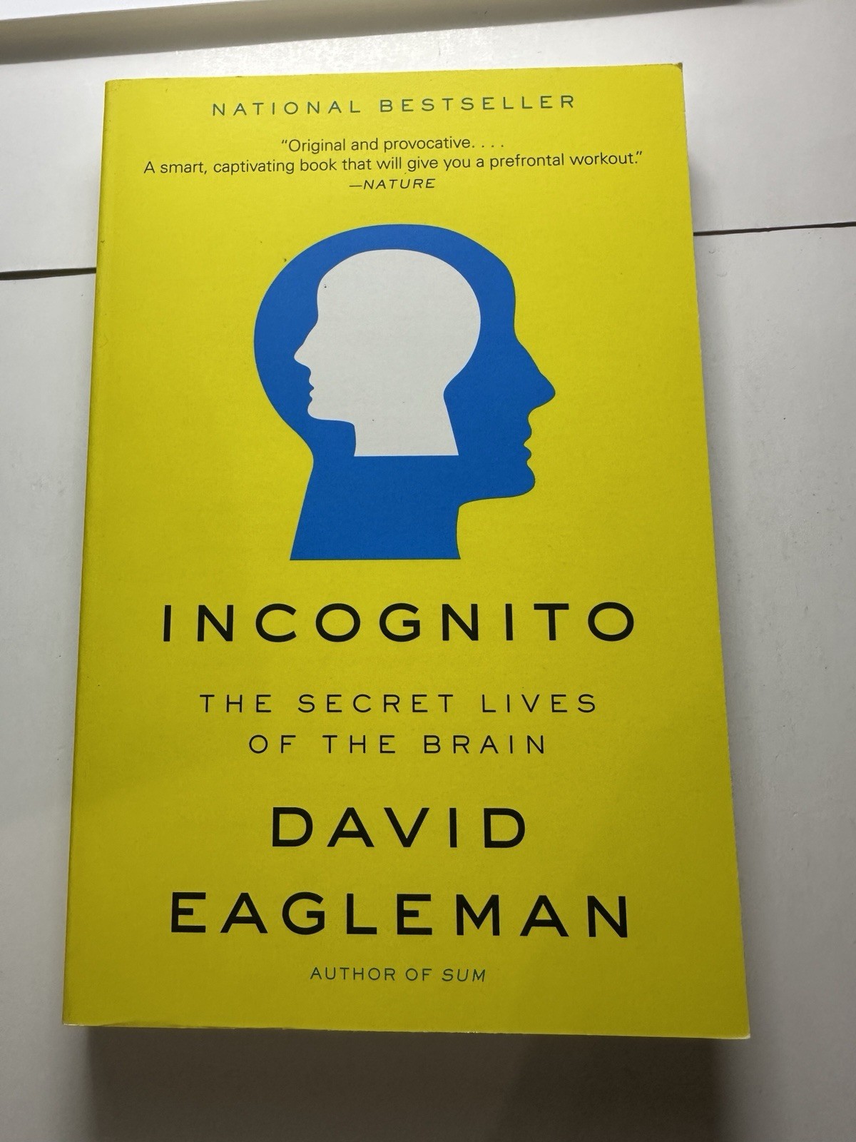 Incognito: The Secret Lives of the Brain – Paperback – VERY GOOD