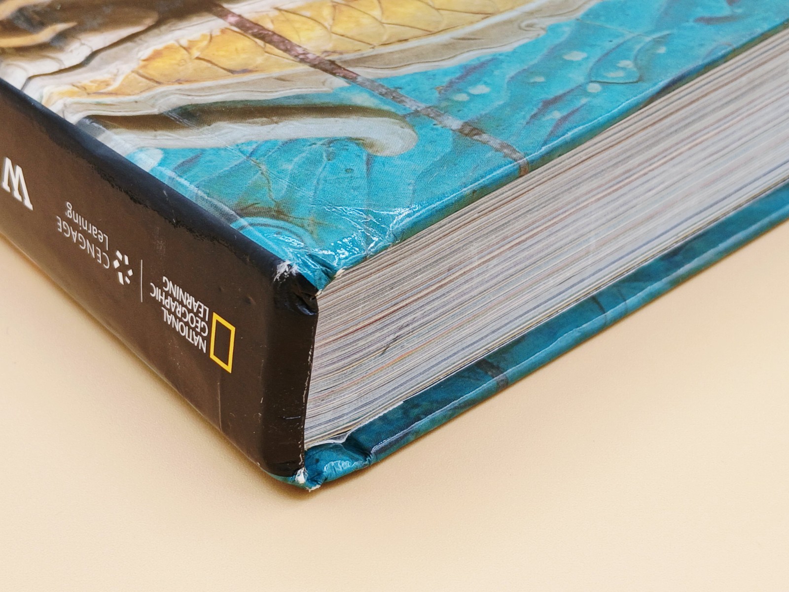 National Geographic World History Great Civilizations.