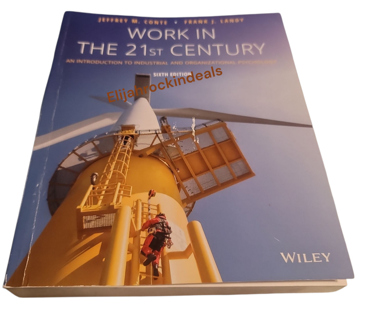 WORK IN THE 21st CENTURY CONTE & LANDY SIXTH EDITION USED EXCELLENT CONDITION